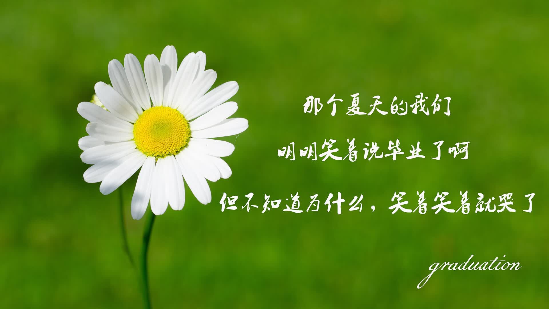 F1 西班牙大奖赛正赛深度大战:红牛车队换胎失误送法拉利夺冠,f1西班牙站2020正赛